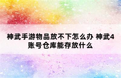 神武手游物品放不下怎么办 神武4账号仓库能存放什么